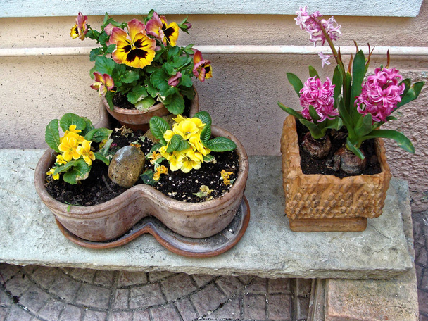 Casa várias flores em vasos. Projete pátios italianos ao redor da casa
. - Foto, Imagem