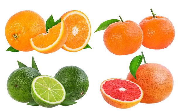 Цитрусовые фрукты (апельсин, грейпфрут, лайм, мандарин или мандарин фрукты) изолированы на белом фоне
. - Фото, изображение
