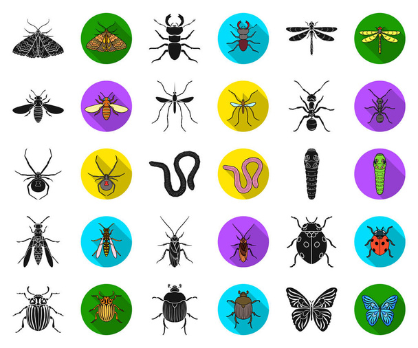 Diversi tipi di insetti neri, icone piatte nella collezione di set per il design. Insetto artropode simbolo vettore stock web illustrazione
. - Vettoriali, immagini