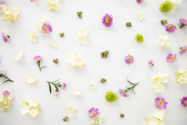 Szép lila Daisy és világos zöld tavaszi virágok virágos kannabisz háttérképet marihuána Nugs vagy rügyek - felülről lefelé - Fotó, kép