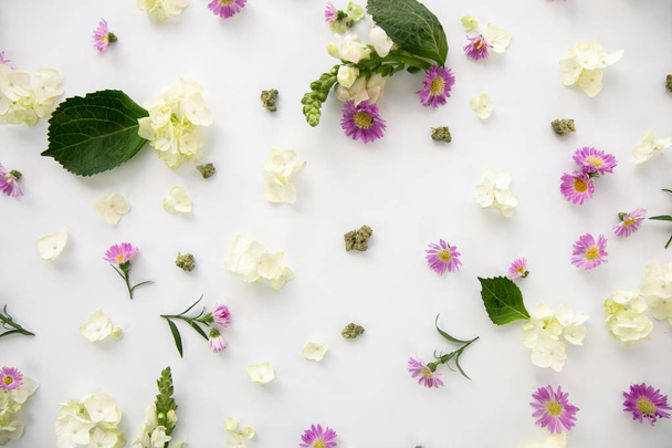 Szép lila Margaréta tavaszi virágok virágos kannabisz háttérképet marihuána Nugs vagy rügyek - felülről lefelé - Fotó, kép