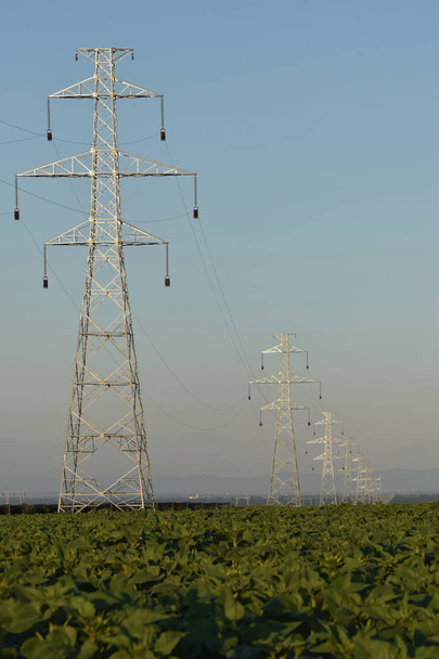 Nuevos postes de potencia en construcción en el crepúsculo - trabajos de cableado
 - Foto, Imagen