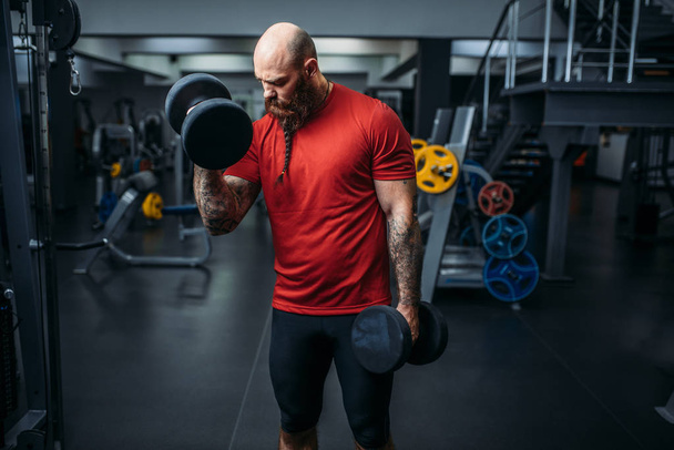 Muscular athlete doing exercise with dumbbells in gym. Bearded man in sport club, healthy lifestyle - Photo, Image