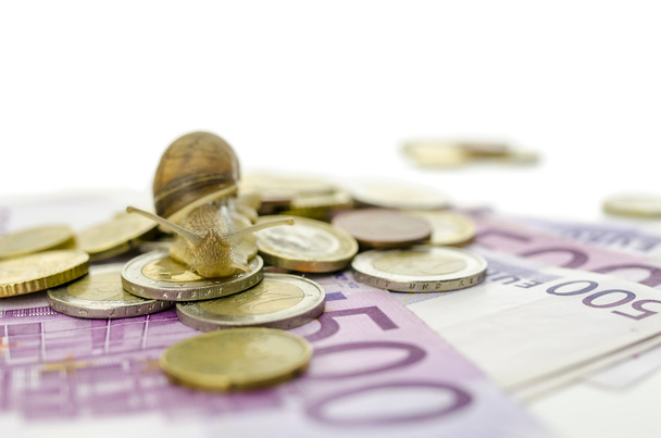 Tuin slak op euromunten en -bankbiljetten - Foto, afbeelding
