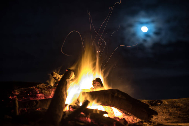 Calm fire on the beach under moon light - 写真・画像