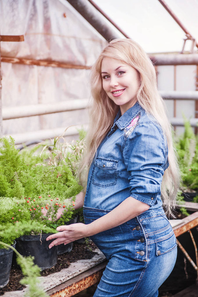 Pregnant woman working at greenhouse. - 写真・画像
