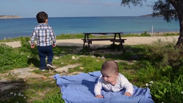 Netter zweijähriger Junge sammelt Steine, während sein kleiner Bruder Bauch unter dem Baum hat - Filmmaterial, Video