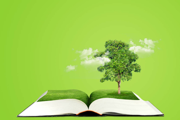 Ökologiekonzept: Grünes Baumwachstum durch aufgeschlagenes Buch. - Foto, Bild