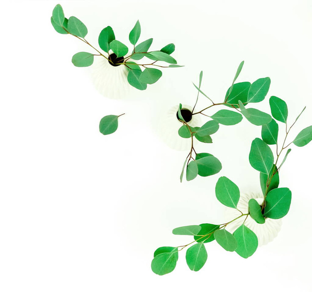 green eucalyptus twigs in vases on white background - Fotó, kép