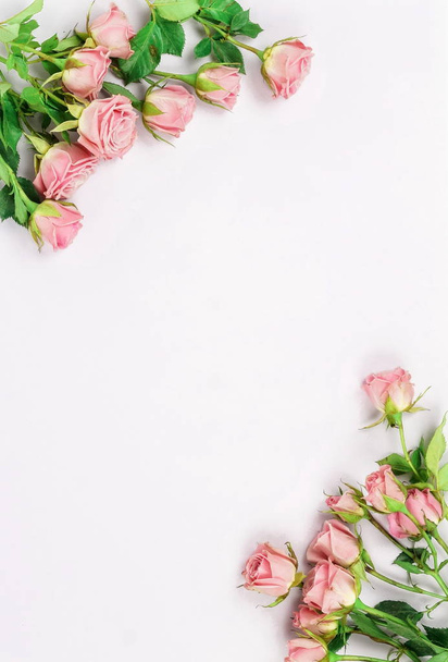 top view of beautiful flowers on white background - Foto, Imagem