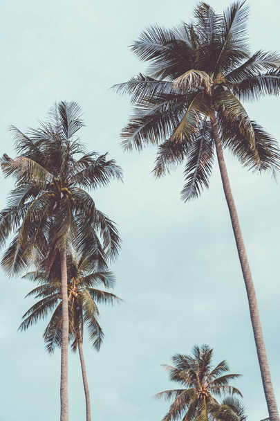 Kopieer ruimte tropische palmboom met zonlicht op blauwe hemel en cloud abstracte achtergrond. Zomervakantie en natuur reizen avontuur concept. Vintage Toon filter effect kleurstijl. - Foto, afbeelding