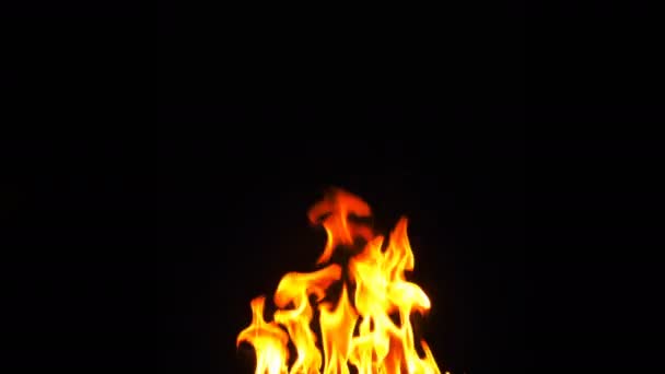Llama de calor ardiente de fuego sobre fondo negro
  - Metraje, vídeo