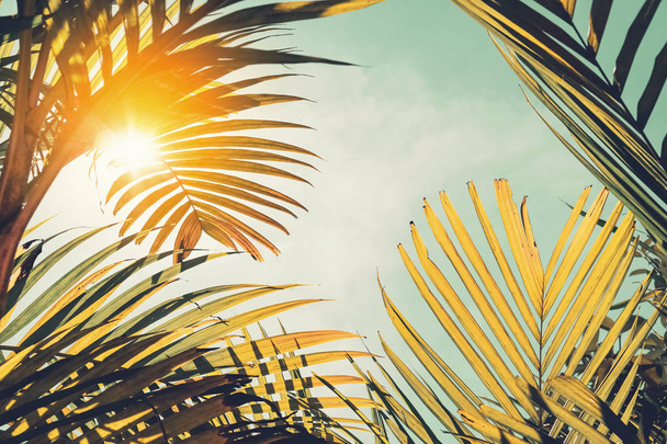 Copy space of silhouette tropical palm tree with sun light on sunset sky and cloud abstract background. Summer vacation and nature travel adventure concept. Vintage tone filter effect color style. - Photo, Image