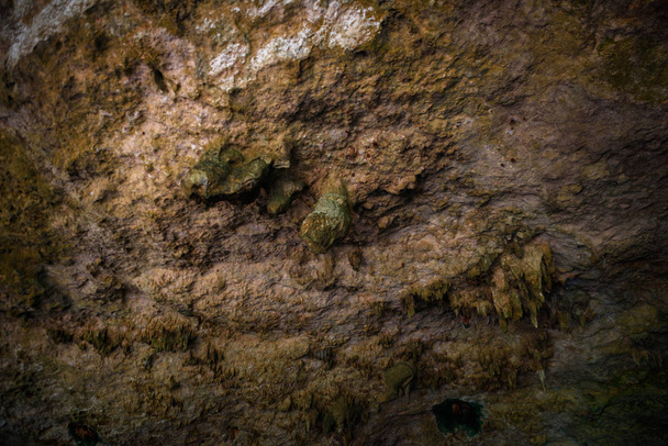 Cenote Dos Ojos kristálytiszta vízzel - Fotó, kép