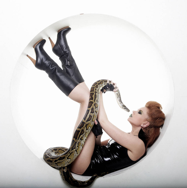 Attractive young  woman with python - 写真・画像