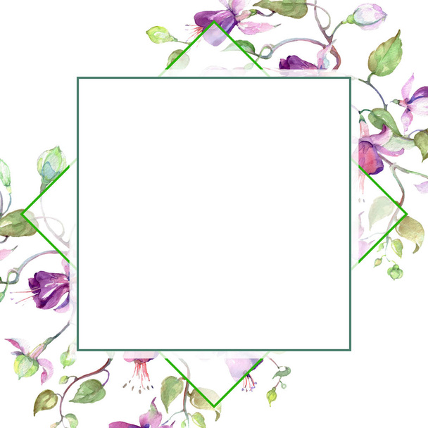 Purpurfarbener Fuchsienstrauß. Blütenbotanische Blume. Aquarell Hintergrundillustration Set. Rahmen Rand Ornament Quadrat. - Foto, Bild