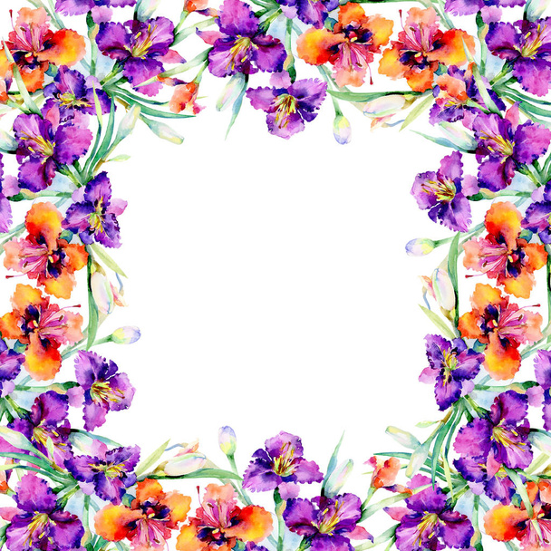 Fioletowy bukiet kwiatowy botaniczny kwiatów liliowca. Zestaw ilustracji tle akwarela. Ramki granicznej ornament square. - Zdjęcie, obraz