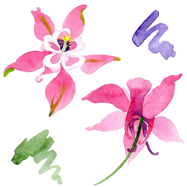 Rode aquilegia floral botanische bloem. Aquarel achtergrond afbeelding instellen. Geïsoleerde aquilegia afbeelding element. - Foto, afbeelding