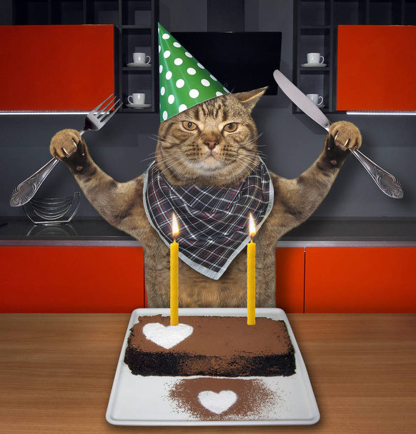 Кіт їсть шоколадний торт зі свічками
 - Фото, зображення