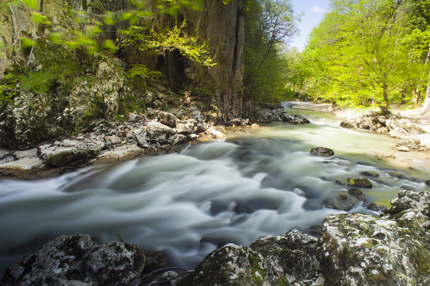 Rivière Timavo, Slovénie
 - Photo, image