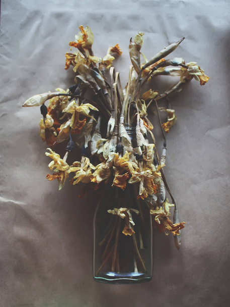 Sušené narcisy květiny - Fotografie, Obrázek