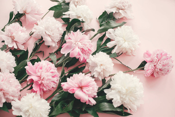 Elegante bouquet di peonie rosa e bianche su carta rosa posa piatta. C
 - Foto, immagini