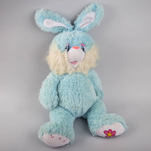 Little blue bunny on a gray background. - Photo, Image