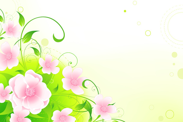 Floral background - ベクター画像