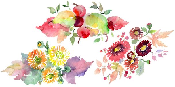 Boeketten met bloemen en vruchten. Aquarel achtergrond afbeelding instellen. Geïsoleerde boeketten afbeelding element. - Foto, afbeelding