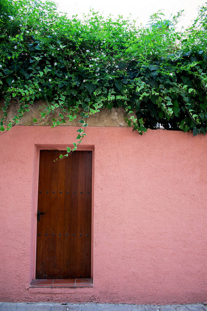 primer plano de puerta de madera en la pared de color rosa
 - Foto, Imagen