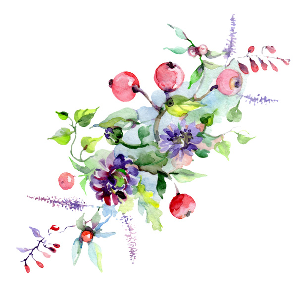 Strauß mit Blumen und Beeren. Aquarell Hintergrundillustration Set. isolierte Strauß Illustration Element. - Foto, Bild