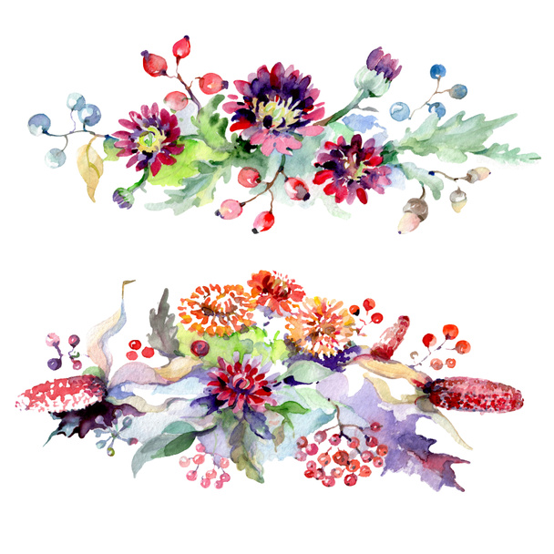 Kytice s květy a plody. Sada akvarel pozadí obrázku. Prvek ilustrace izolované kytice. - Fotografie, Obrázek