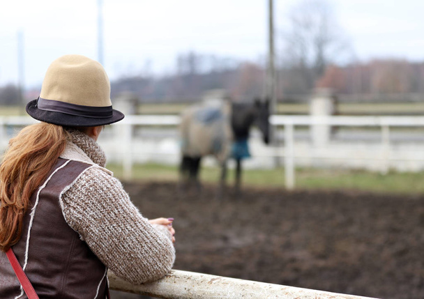 Кінь, портрет красиві польських коні в сільській місцевості, Рання весна, повний кадр фотографії, жінка в капелюсі, вітаючи коня, жінка в капелюсі, дивлячись на подіумі коня, - Фото, зображення