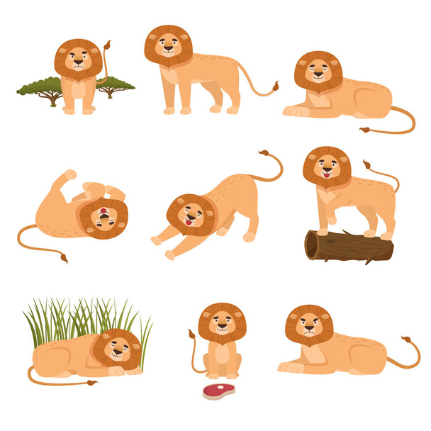Set van Leeuw in verschillende acties geïsoleerd op witte achtergrond - Vector, afbeelding