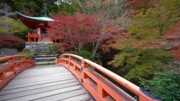 scenic footage of beautiful traditional Japanese pagoda - Footage, Video