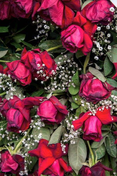 schöne Blumen am Grab auf dem Friedhof. - Foto, Bild