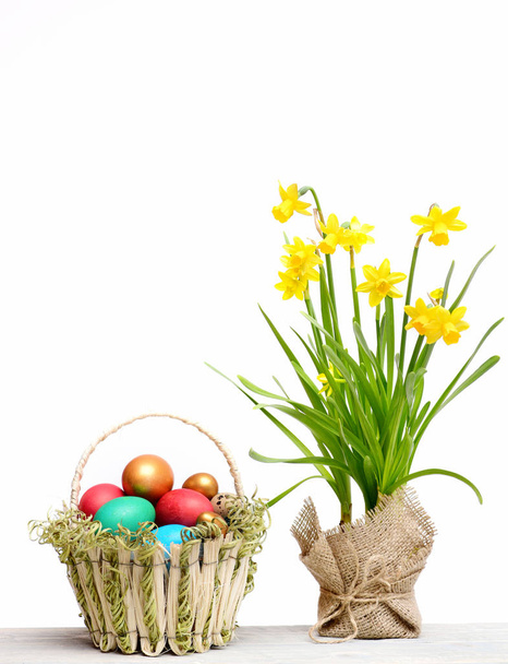 bahar sarısı narsis, renkli paskalya yumurtaları beyaza izole edilmiş. - Fotoğraf, Görsel