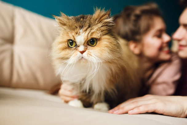 photos of a young couple at home with a cat - Fotó, kép