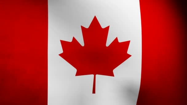 Canada flag. - Footage, Video