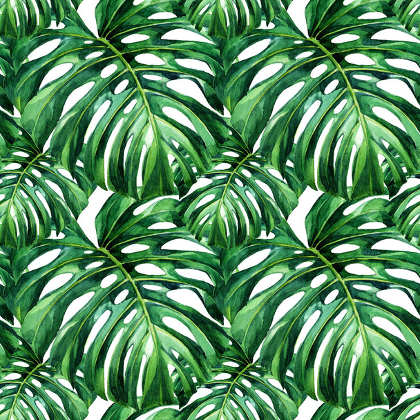 Watercolor seamless pattern of tropical leaves. - Photo, Image