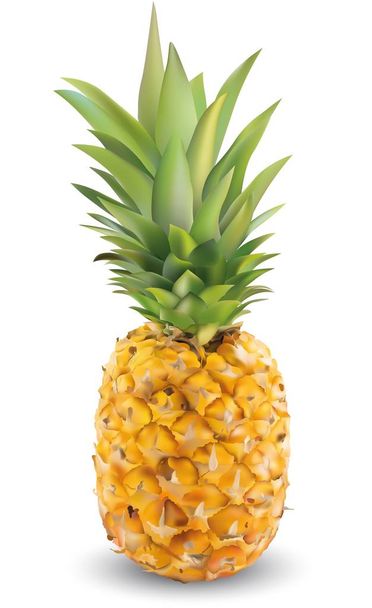 Ananas réaliste sur fond blanc gros plan. Graphiques vectoriels. Fruits
. - Vecteur, image