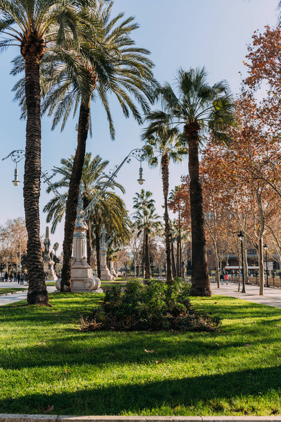 Barcelona, Spanje - December 28, 2018: mooie Parc de la Ciutadella met hoge groene palmbomen - Foto, afbeelding