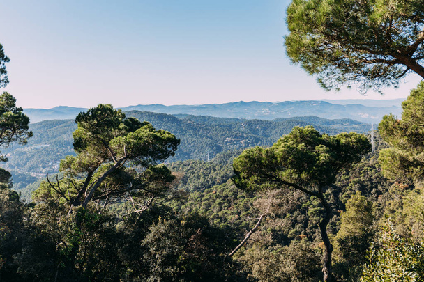 festői kilátással a zöld fák és hegyek borított erdőben, barcelona, Spanyolország - Fotó, kép