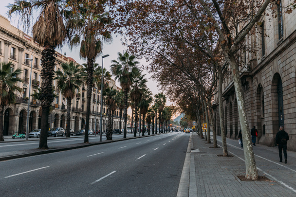 BARCELONA, SPAIN - DECEMBER 28, 2018: city street with roadway with buildings and palm trees - Фото, изображение