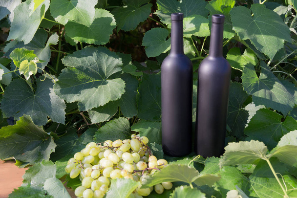 ブドウの横には緑の葉の背景にワイン スタンドの 2 つの黒いボトルにあるブドウの房 - 写真・画像