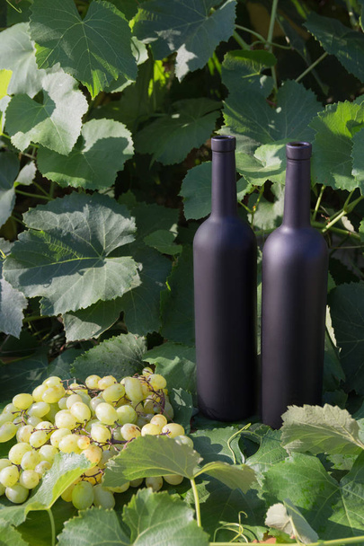 ブドウの横には緑の葉の背景にワイン スタンドの 2 つの黒いボトルにあるブドウの房 - 写真・画像