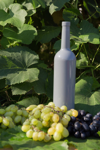 γκρι μπουκάλι κρασί περίπτερα για το υπόβαθρο των πράσινων φύλλων των σταφυλιών και δίπλα βρίσκεται ένα τσαμπί σταφύλι - Φωτογραφία, εικόνα