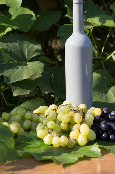 grijze fles wijn staat op de achtergrond van de groene bladeren van druiven en ernaast ligt een tros druiven - Foto, afbeelding