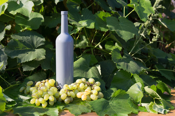ワイン スタンド ブドウの横には緑の葉の背景の灰色のボトルあるブドウの房 - 写真・画像