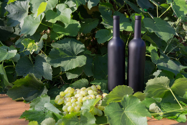 dos botellas negras de vino se erige en el fondo de hojas verdes de uvas y junto a ella se encuentra un ramo de uvas
 - Foto, Imagen